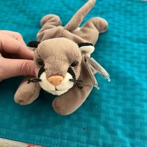 Canyon the beanie baby